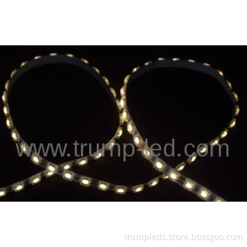 Waterproof 5050 round lens led strip lighting price in India dc12v